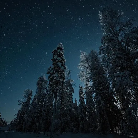 Chata Haistila Retreat With Elegant Views & Sauna Near Rovaniemi Ranua