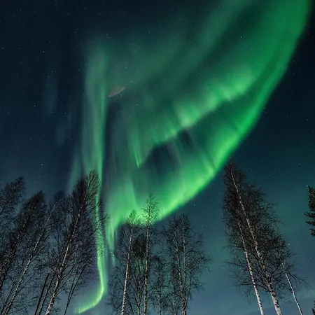 Haistila Retreat With Elegant Views & Sauna Near Rovaniemi * Ranua